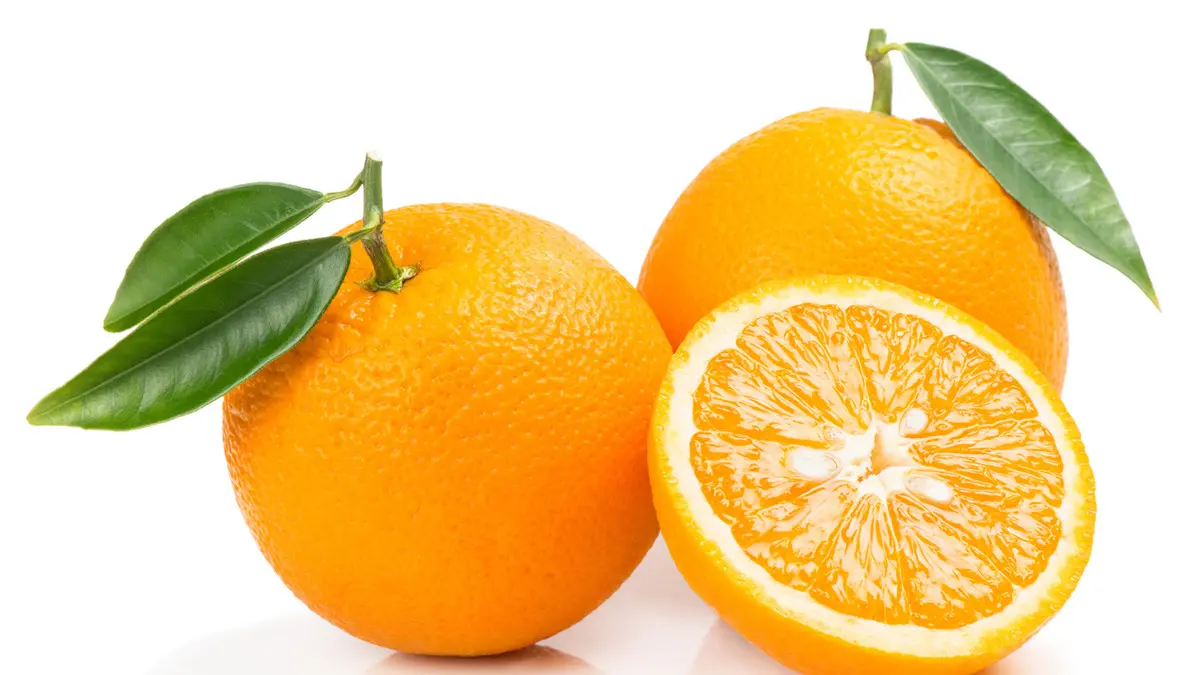 Orange / برتقال